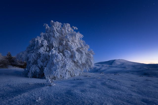 L'heure bleue